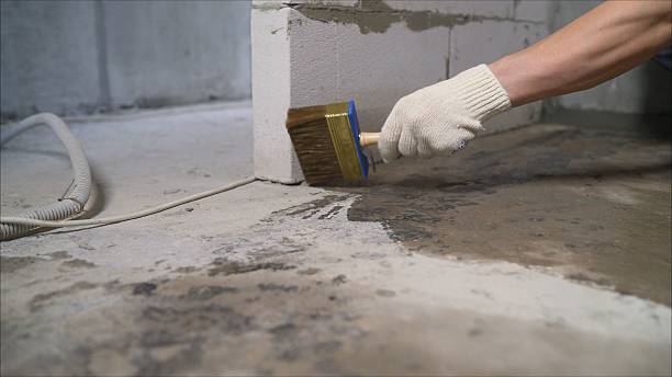 24/7 Emergency Sump Pump Installation experts in Van Dyne, WI